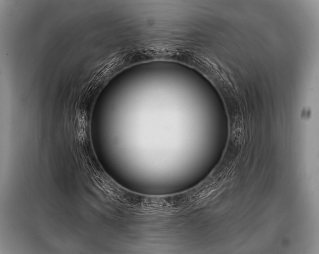 X0000101140866200806270917