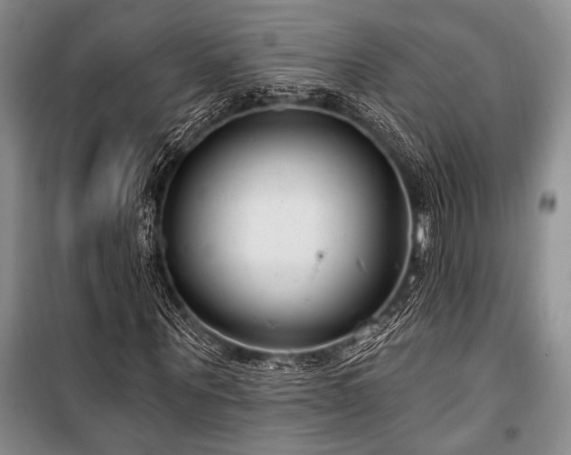 X0000101140867200806270917