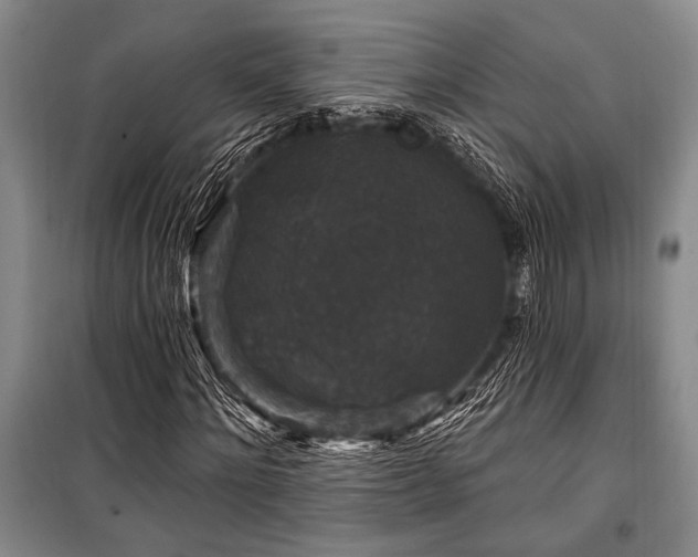 X0000101140868200806270917