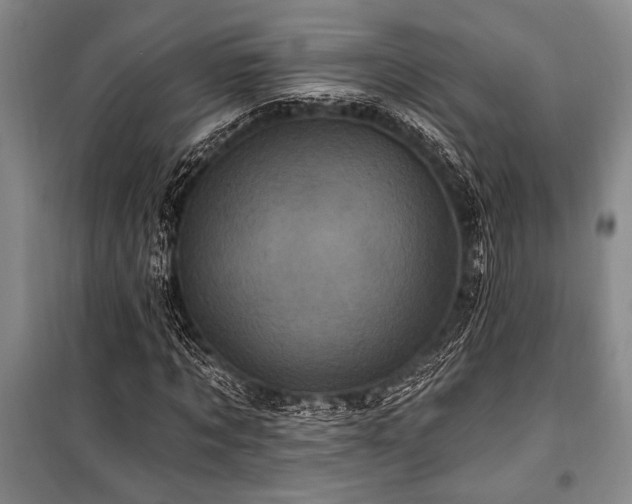 X0000101140869200806270917