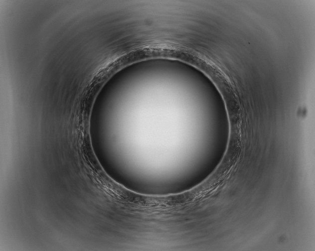 X0000101140870200806270917