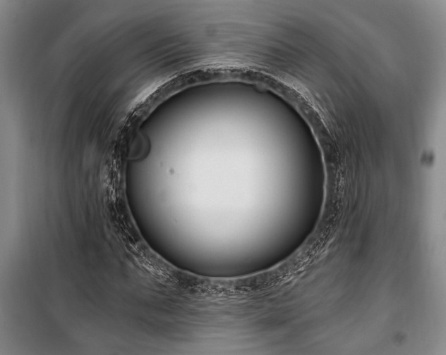 X0000101140871200806270917