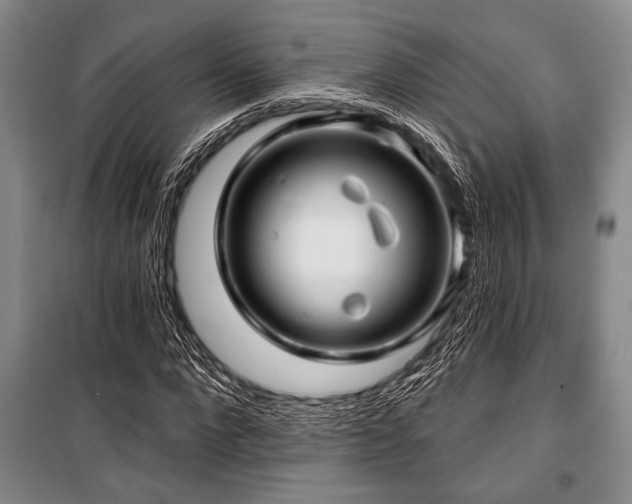 X0000101140872200806270917