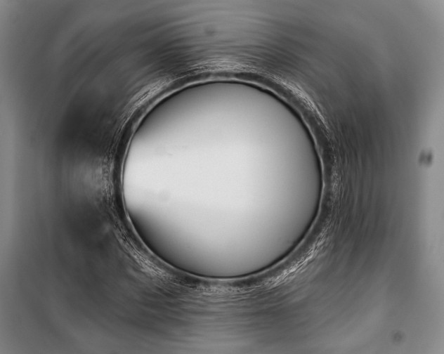 X0000101140873200806270917