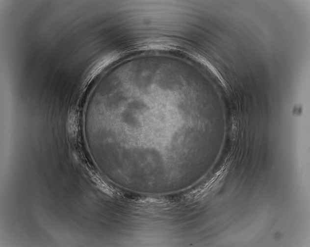 X0000101140874200806270917