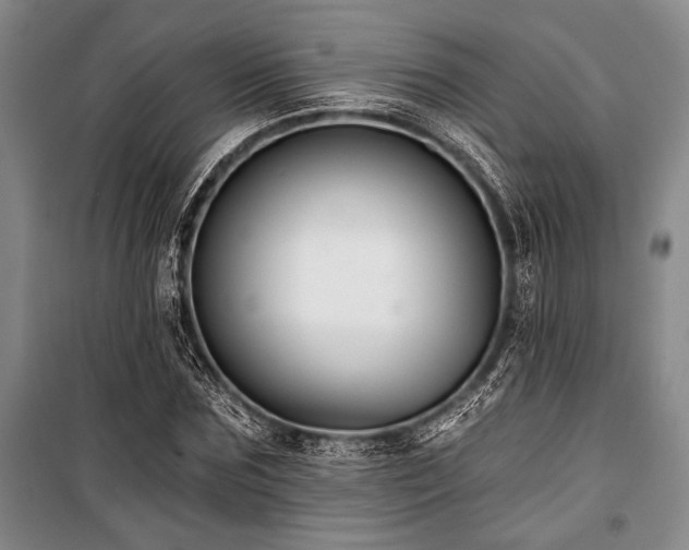 X0000101140875200806270917