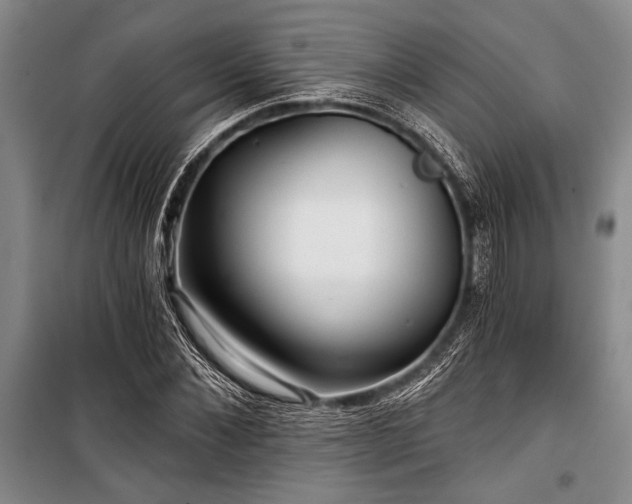 X0000101140876200806270917