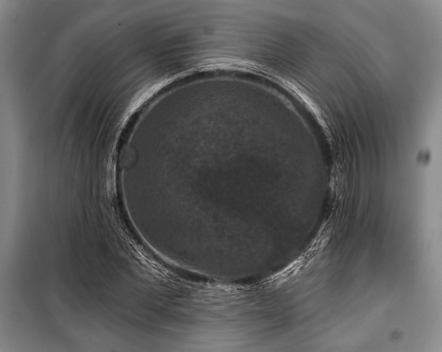 X0000101140877200806270917