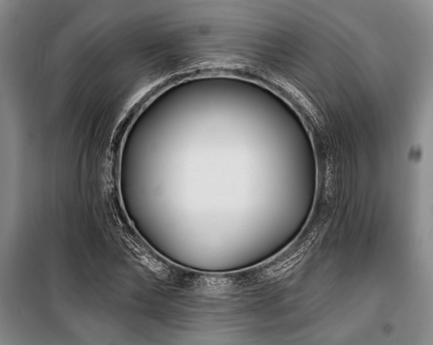 X0000101140878200806270917