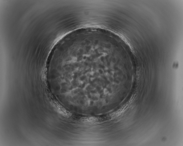 X0000101140879200806270917