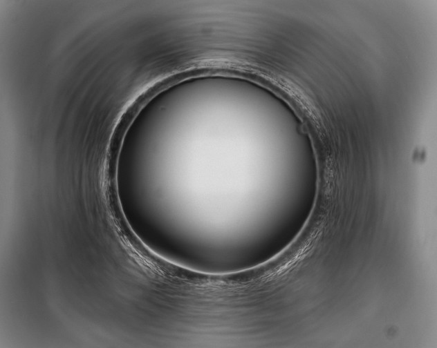 X0000101140880200806270917