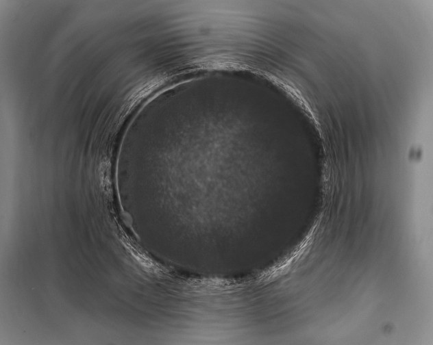 X0000101140881200806270917