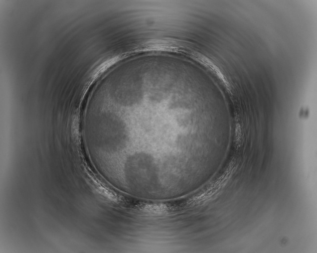 X0000101140882200806270917