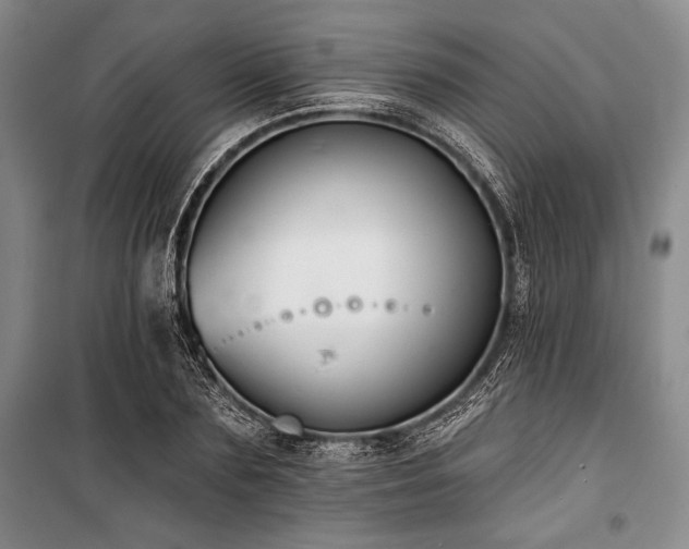 X0000101140883200806270917