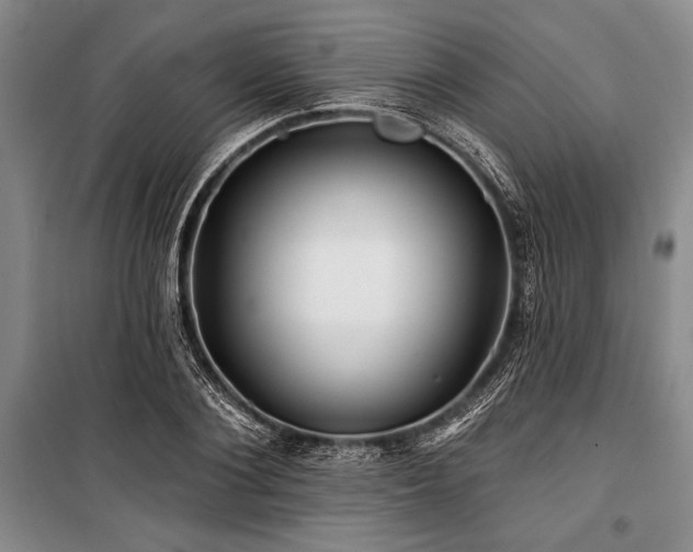 X0000101140884200806270917