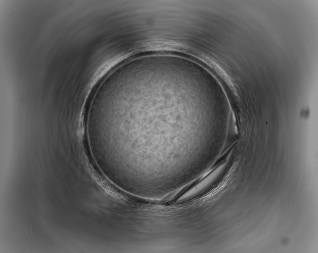 X0000101140885200806270917