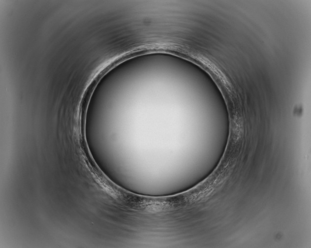 X0000101140886200806270917