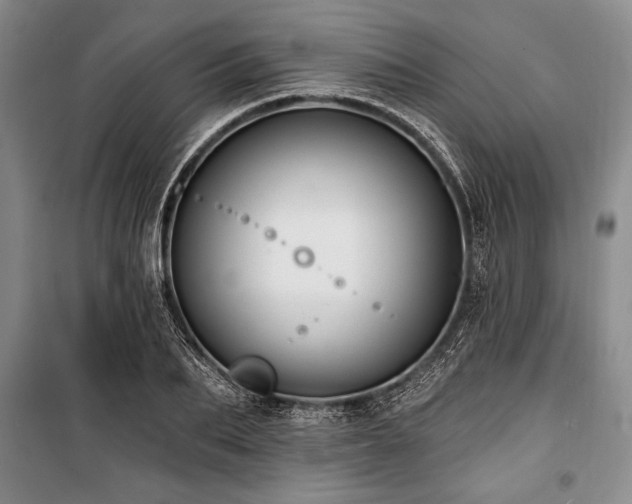 X0000101140887200806270917