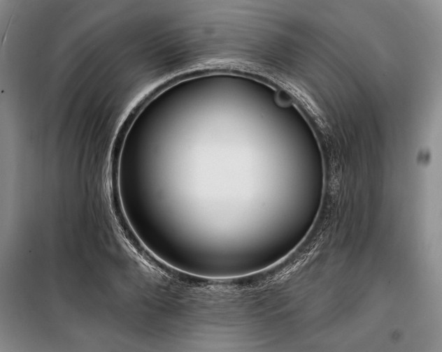 X0000101140888200806270917