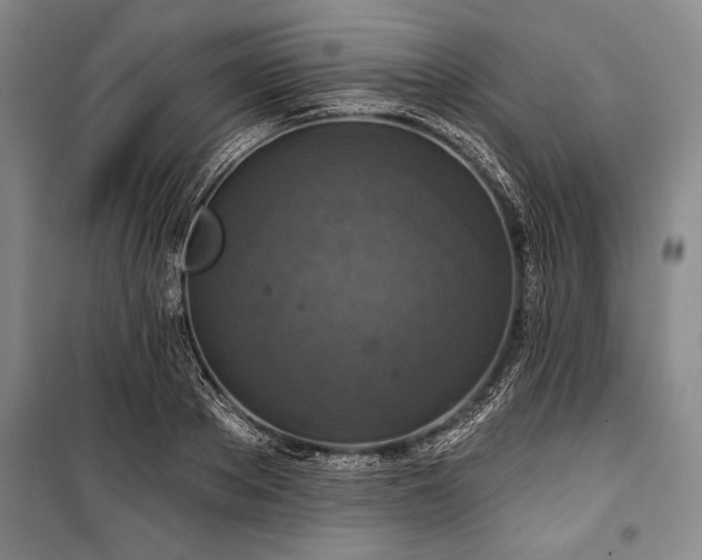 X0000101140889200806270917