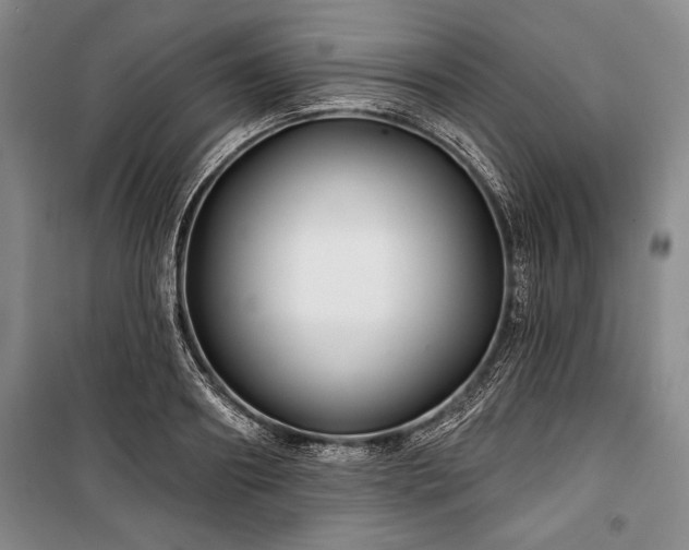 X0000101140890200806270917