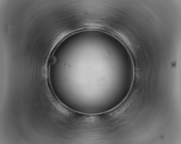 X0000101140891200806270917