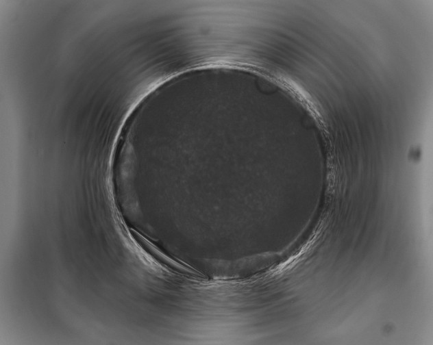 X0000101140892200806270917