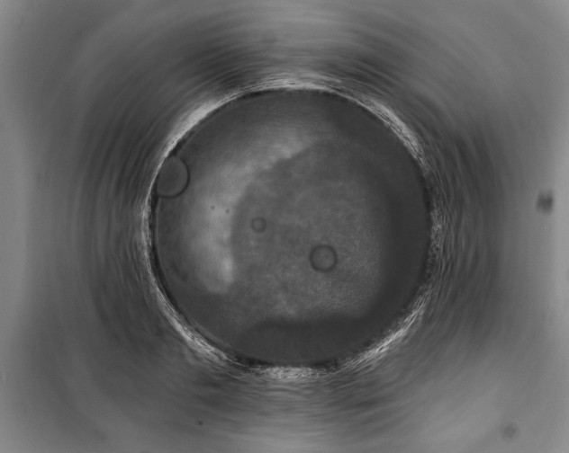 X0000101140893200806270917