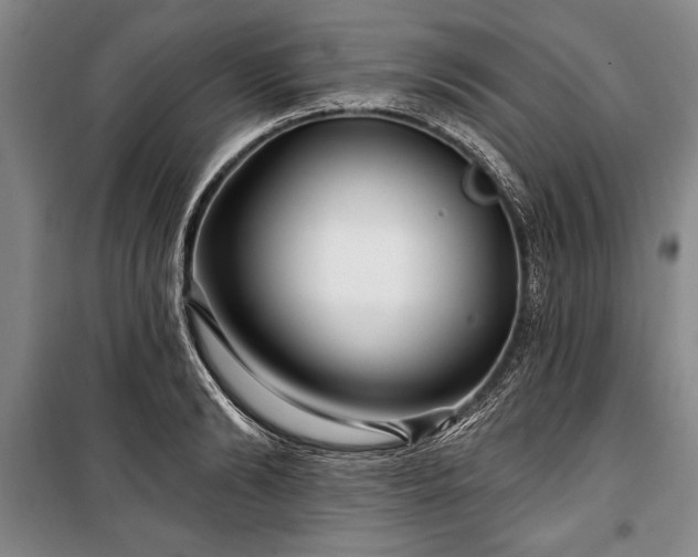 X0000101140894200806270917