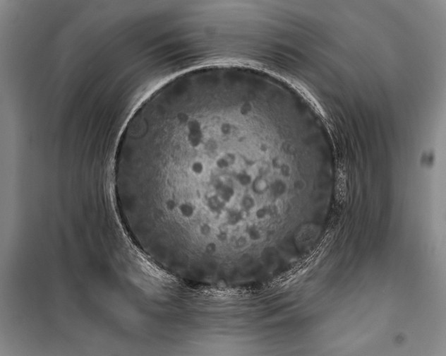 X0000101140895200806270917