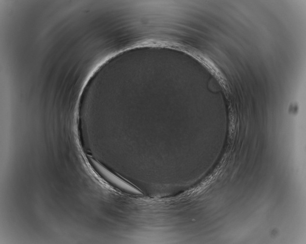 X0000101140896200806270917