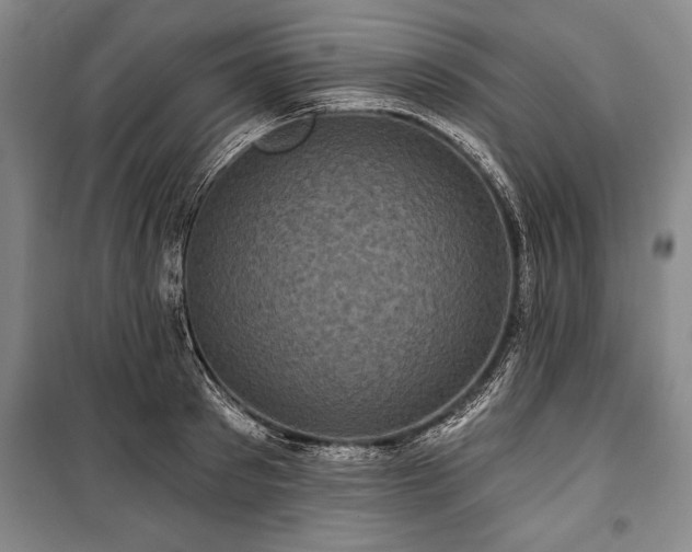 X0000101140897200806270917