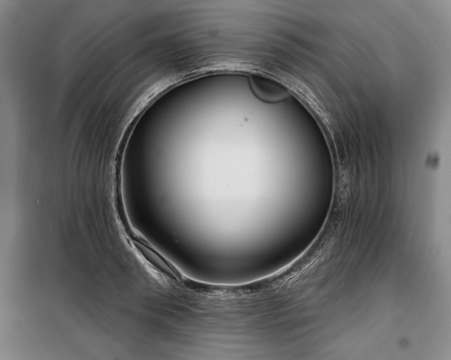 X0000101140898200806270917