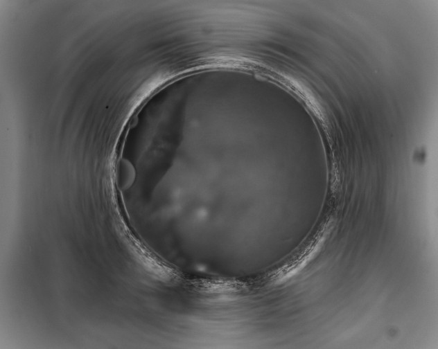 X0000101140899200806270917