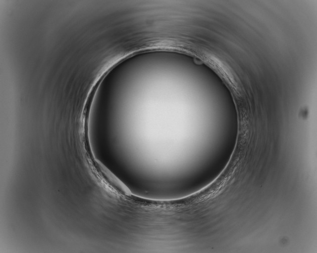 X0000101140900200806270917