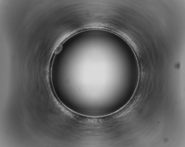 X0000101140901200806270917