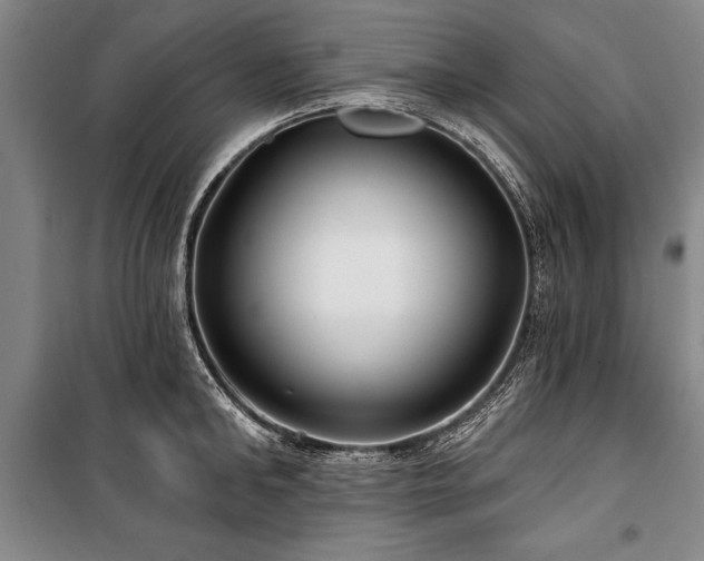 X0000101140902200806270917