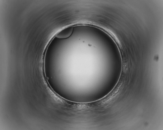 X0000101140903200806270917