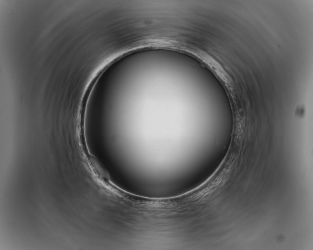 X0000101140904200806270917