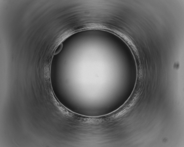 X0000101140905200806270917