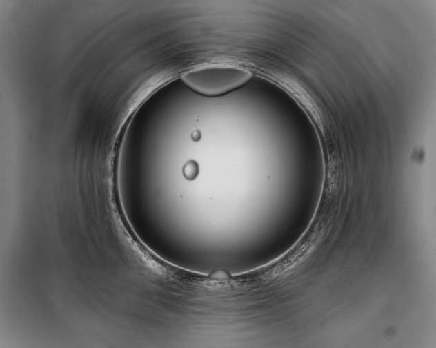 X0000101140906200806270917