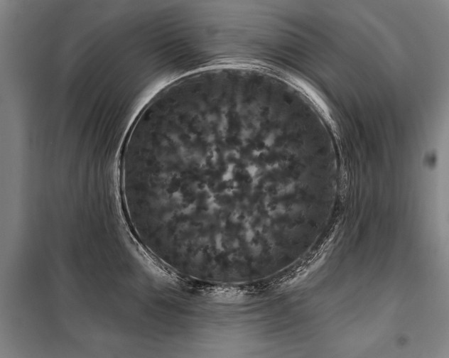 X0000101140907200806270917