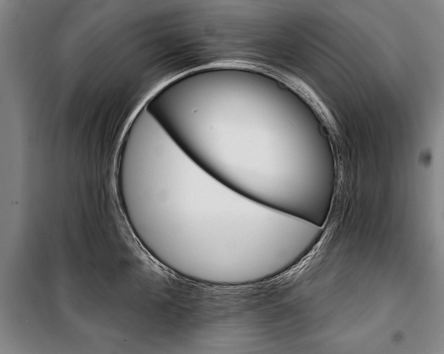 X0000101140908200806270917