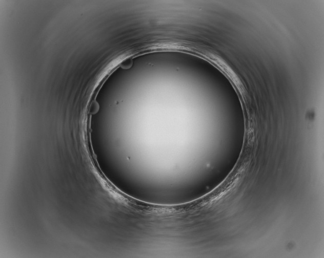 X0000101140909200806270917