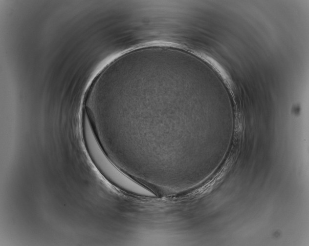 X0000101140910200806270917