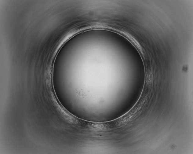 X0000101140911200806270917