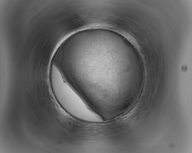 X0000101140912200806270916