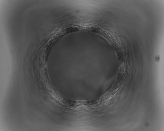 X0000101140913200806270916