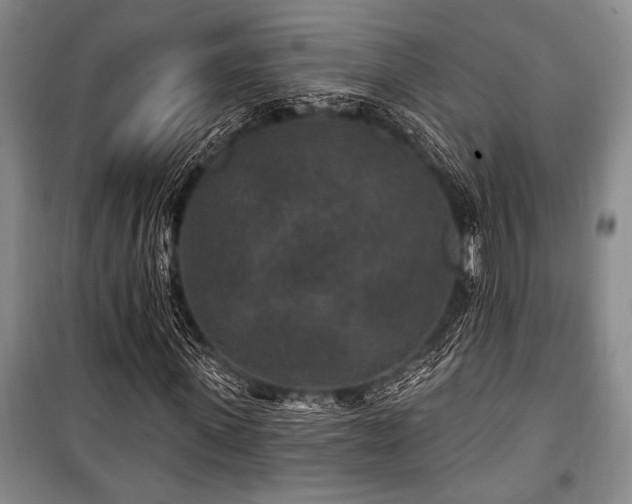 X0000101140915200806270916