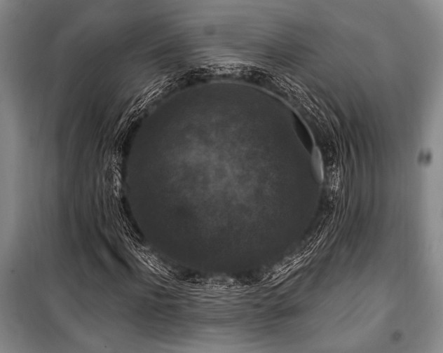 X0000101140916200806270916